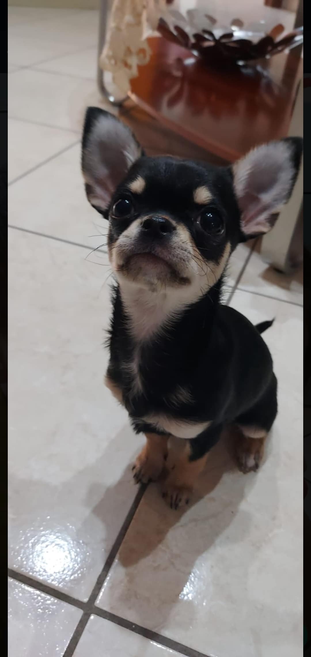 Screenshot 20240402 213854 WhatsApp