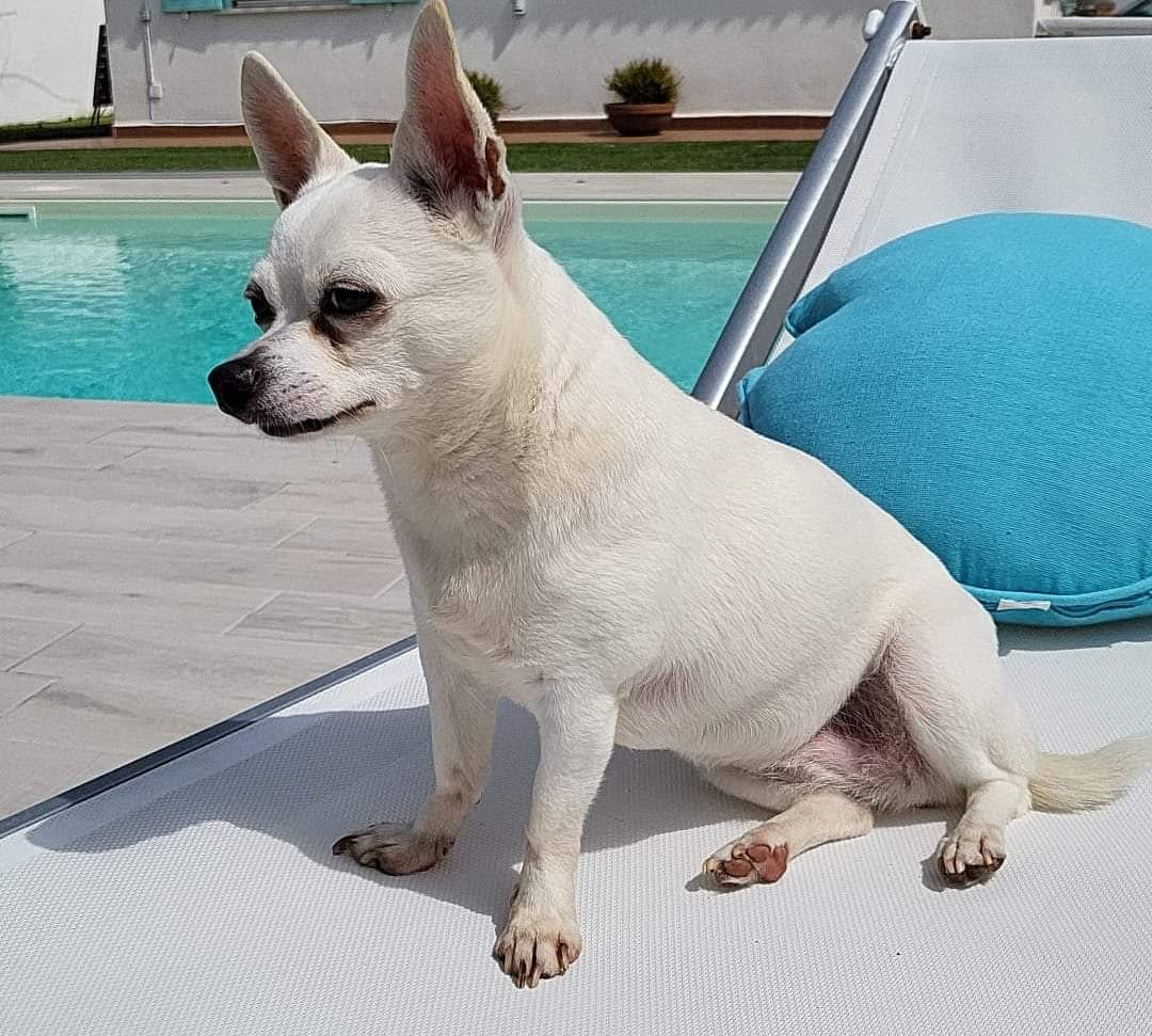 MILÙ 1 inbound3183730070347587212