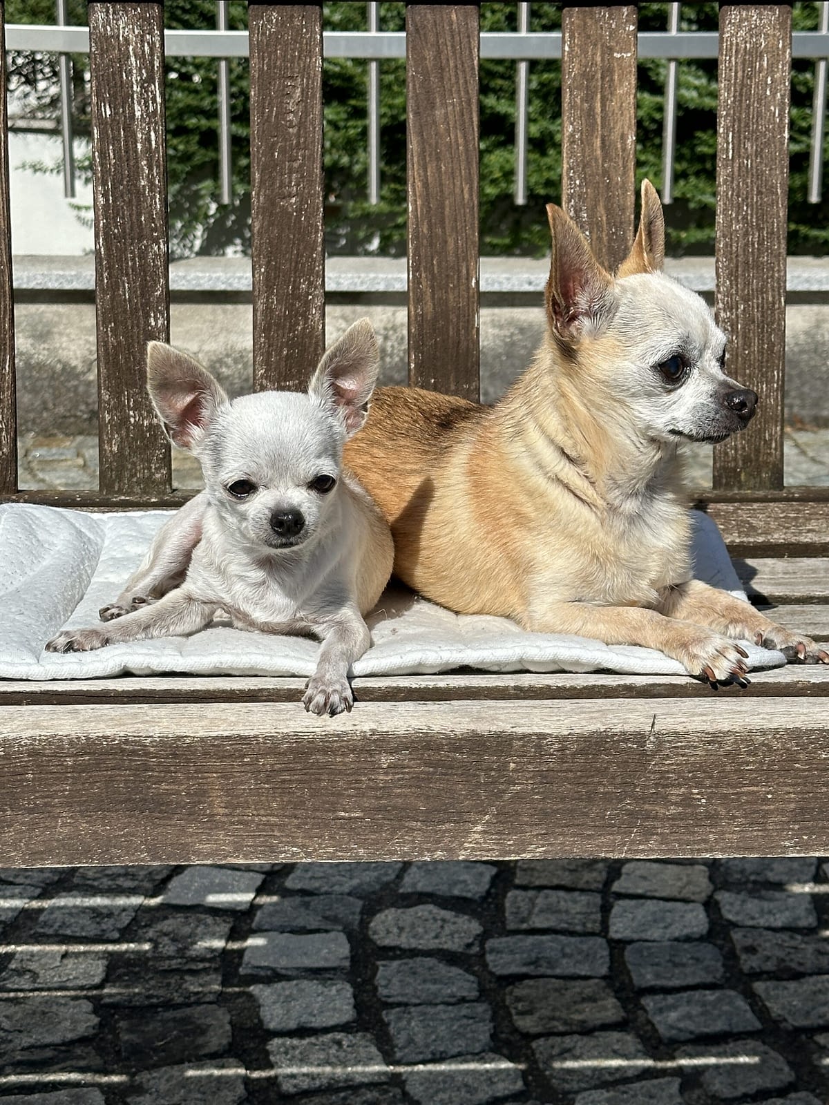 Mindy & Willy 1 B45782DC E7B3 496F B522 52836191E65A