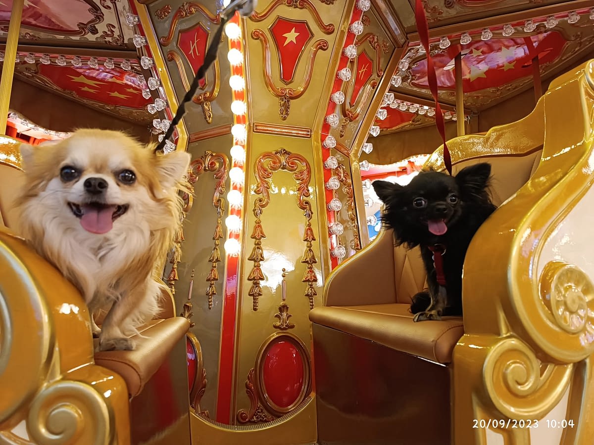 Re Artù e Lord Hathor 1 inbound7676403832698284210