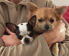 Sally e Deddy 3 Sally e Deddy