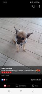 Iago 285 inbound5292273211358886797