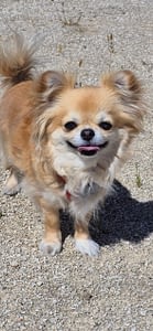 Sally 64 guest 1762200175 490d inbound5322821227317221561 scaled