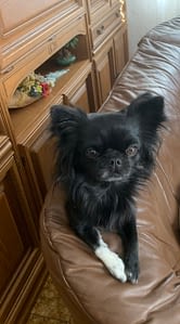 Kosmo 42 IMG 8830 scaled