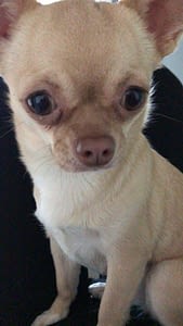 Trilly 169 4a7cfc91 ea63 4269 be65 94deff8a9f47 Original