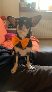 Loky 168 63B88FED 1721 4C14 B370 F70A47AA6B54