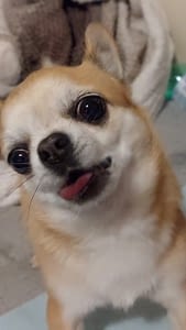 HAITI 115 inbound1887378058054718180