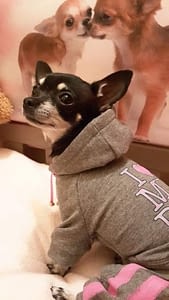 Camilla 403 inbound2436078171582976961