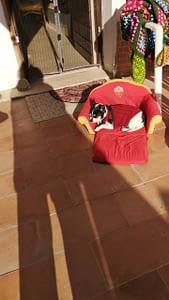 Leo 1 inbound6113596838803863222 scaled