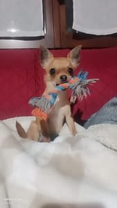 MIA 173 inbound6170744990117061005