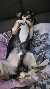 Balu 349 inbound6718795578429742625