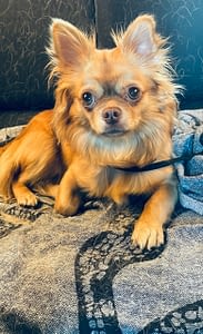 Tequila 17 B3B518BF A01B 43A0 838A 5A7713D38D6A scaled