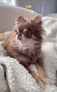 HAPPY 29 inbound5184193759272996150