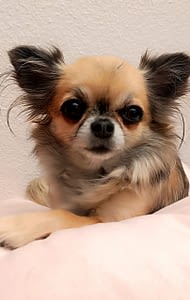 Melany 73 guest 1762087373 10d6 inbound528352310613068279 scaled