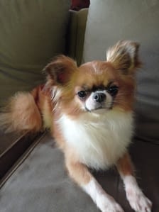 Samantha 196 inbound7308088422674085782