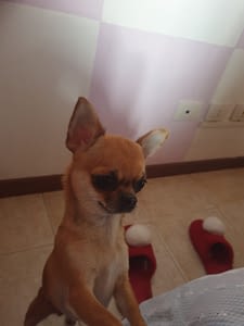 CLEO 164 20240225 123953