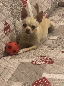 Stella 134 24C0B96A EF4D 4C5B 847E 2546EE8E4700