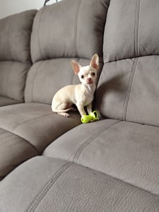 Kiko 184 IMG 20240309 094325