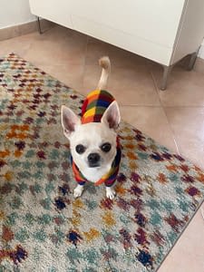 Omar 8 IMG 5370 scaled