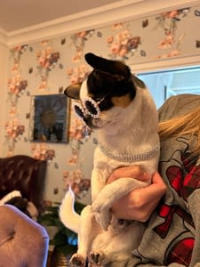 Oreo 297 f55b952c 39e4 46ab ac77 c49f12ba9a4d