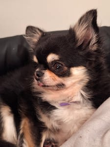 Bimba 77 guest 1762079273 38b6 inbound2455197267252553099 scaled