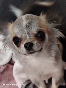 Lilith 70 guest 1762099558 fd33 inbound6762350246425645384 scaled