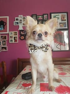 Berto 243 inbound2377898090470939497