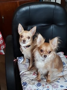 Asia e Cleo 135 inbound2387530083320715049