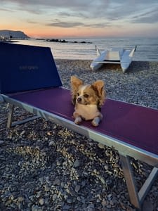 Lolita 146 inbound3899055122563963099