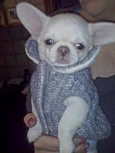 NICCOLÒ 200 inbound5001336011087339922