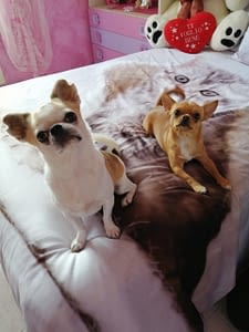 Milo e Martino 170 inbound6158201649132089863