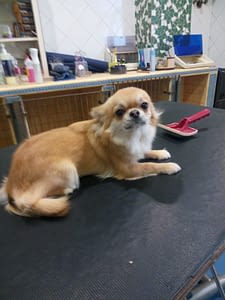 DIOR 116 inbound6657768762501782552