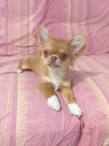 Mia 288 inbound6837141483764565156