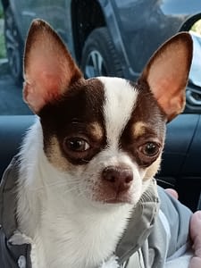 MYLO 142 inbound7882704908888449219