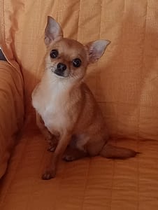 MIA 66 guest 1762112623 44a9 inbound3744005273794630227