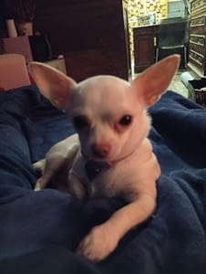 MYA 34 inbound4095030397065547744 scaled