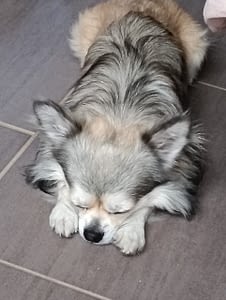 Giotto 44 inbound4283027327128351034 scaled