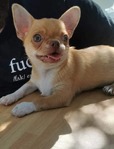 Emyli 384 inbound3182111080097015956