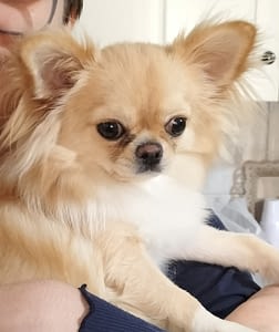 Luffy 67 guest 1762112328 8080 inbound5169644433326797761