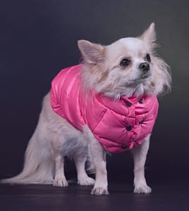 Bridget 357 inbound917440614293721408