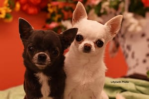 Sole e Blue 140 inbound7344714127172671412