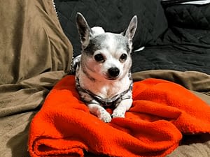 Kriss 71 guest 1762091098 9041 472036928 10230228902980320 1037520013686482802 n