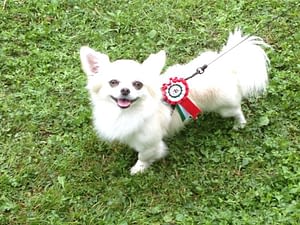 Micky 296 inbound6469141858737161731