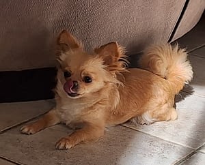 Beverly 10 inbound8506358830900032845