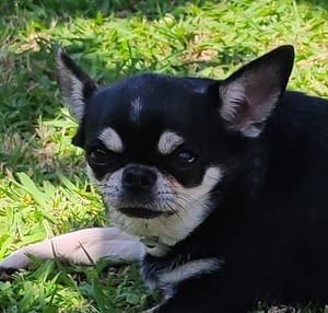 Sissy 287 inbound7521605377173546474