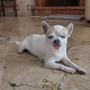 Tommy 78 guest 1762079186 e58e inbound870836938116149376 scaled