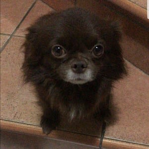 Mariolino 347 inbound1606045437977091914