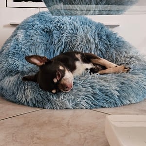 Nico 59 inbound5389780781372405262 scaled