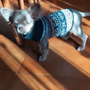 Lilo 14 inbound952889254265342768 scaled