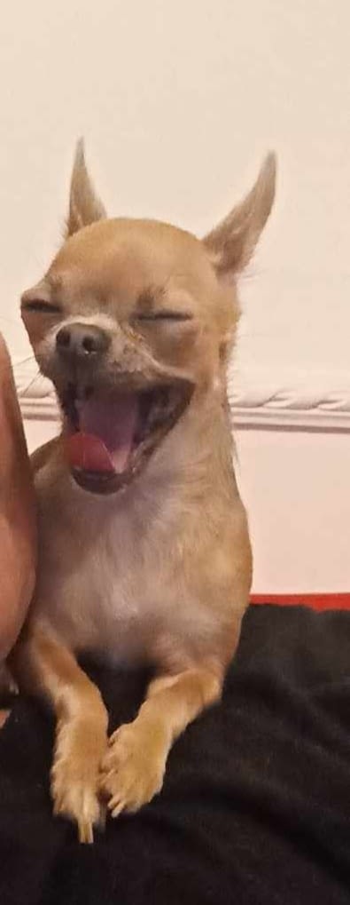 inbound7792082369248924013